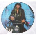 Steve Vai ‎– Passion And Warfare LP Picture Disc Vinyl