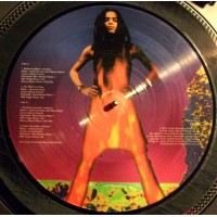 Lenny Kravitz – Believe 10' Picture Disc Vinyl