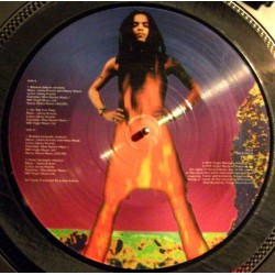 Lenny Kravitz – Believe 10' Picture Disc Vinyl