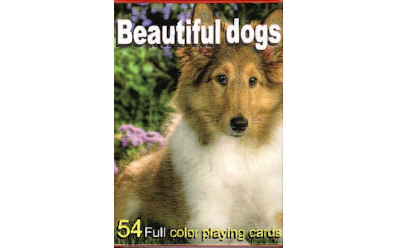 Τράπουλα:Beautiful Dogs